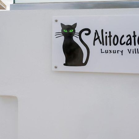 Villa Alitocatos Dranapiász Kültér fotó